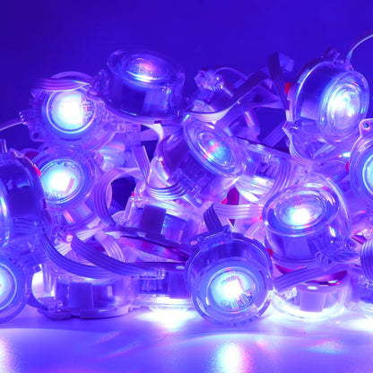 Permanent Outdoor Eaves LED/RGB Waterproof String Lights, Christmas Party Lighting