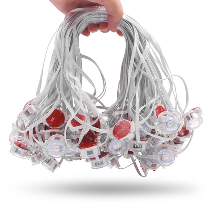 Permanent Outdoor Eaves LED/RGB Waterproof String Lights, Christmas Party Lighting