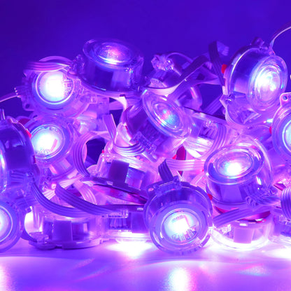 Permanent Outdoor Eaves LED/RGB Waterproof String Lights, Christmas Party Lighting