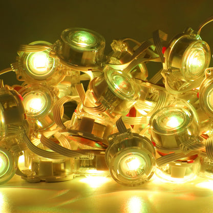 Permanent Outdoor Eaves LED/RGB Waterproof String Lights, Christmas Party Lighting