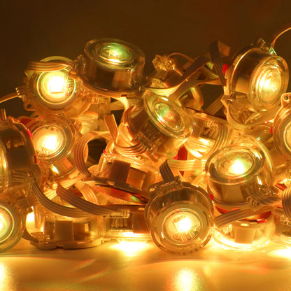 Permanent Outdoor Eaves LED/RGB Waterproof String Lights, Christmas Party Lighting